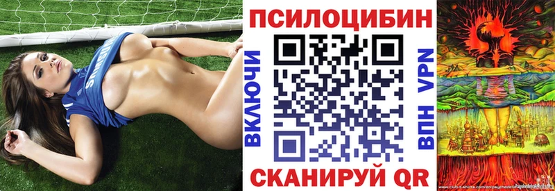 хочу наркоту  Нефтегорск  Галлюциногенные грибы MAGIC MUSHROOMS 